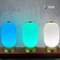 Đèn bàn thông minh Đèn lồng trang trí Tuya APP Alexa Google Đèn LED WiFi thông minh