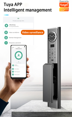 Khóa nhận dạng khuôn mặt sang trọng với bộ đàm trực quan chất lượng cao và giám sát thời gian thực