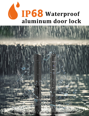 Glomarket Tự động 3d Face Smart Lock With Camera An ninh dấu vân tay sinh trắc cửa trượt Tuya Smart Door Lock
