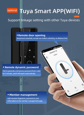 Glomarket Tuya Thông minh 3d nhận dạng khuôn mặt Wifi Khóa cửa thủy tinh Khóa dấu vân tay Thẻ mật khẩu Khóa cửa thủy tinh điện tử Cho văn phòng
