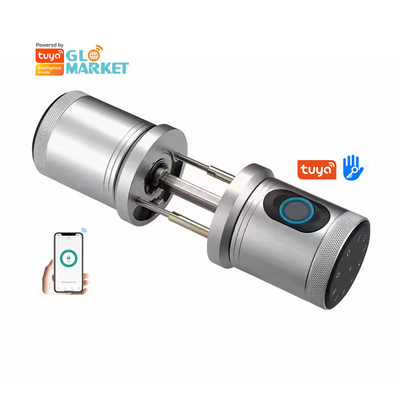 Glomarket New Style Tuya App Control Khóa cửa thông minh dấu vân tay mật khẩu Nhà khách sạn Căn hộ Khóa cửa thông minh điện tử