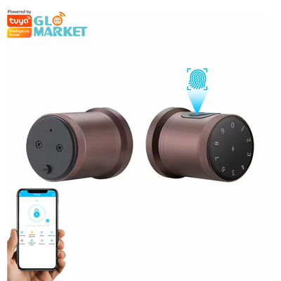 Glomarket New Style Tuya App Control Khóa cửa thông minh dấu vân tay mật khẩu Nhà khách sạn Căn hộ Khóa cửa thông minh điện tử